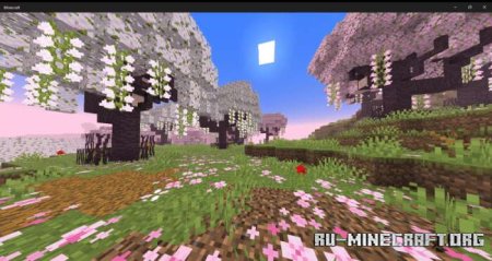 ������� ��������� ����������� ��� Minecraft PE 1.21