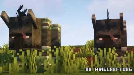 ������� ���������� ���������� ��� Minecraft PE 1.21
