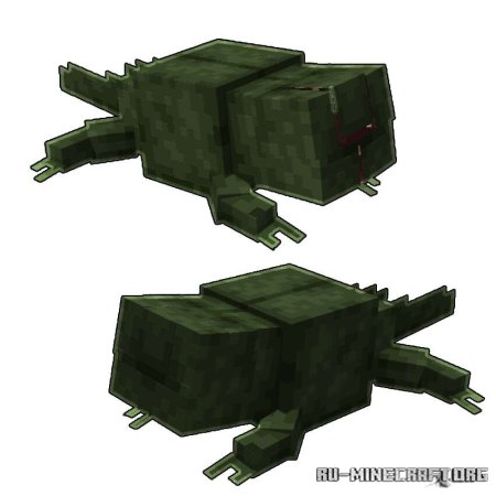 ������� ����� �������� ���� ��� Minecraft PE 1.21