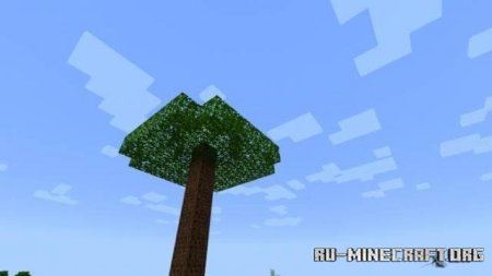 ������� ������ ���� ��� Minecraft PE 1.21