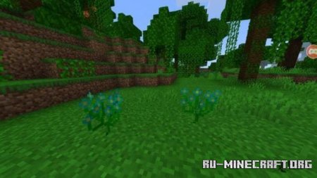 ������� ������ ���� ��� Minecraft PE 1.21
