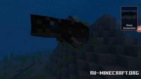 ������� ������ ���� ��� Minecraft PE 1.21