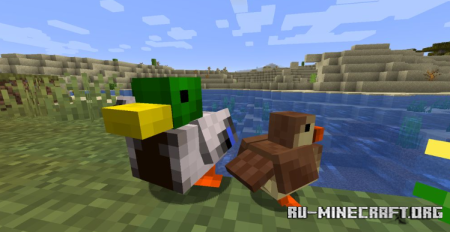 ������� Untitled Duck ��� Minecraft 1.21.11