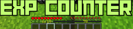 ������� EXP Counter ��� Minecraft 1.21.11
