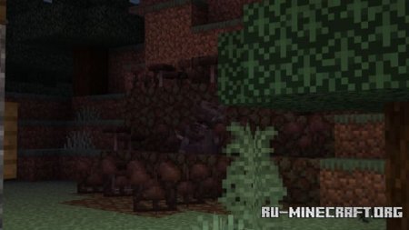 ������� ������� ������ ��� Minecraft PE 1.21