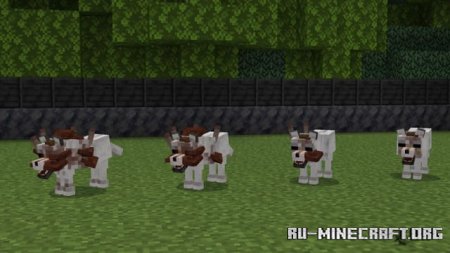 ������� ������� ������ ��� Minecraft PE 1.21