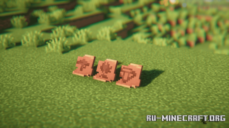 ������� Items Displayed ��� Minecraft 1.21.11