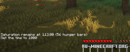 ������� Saturation Plus ��� Minecraft 1.21.11