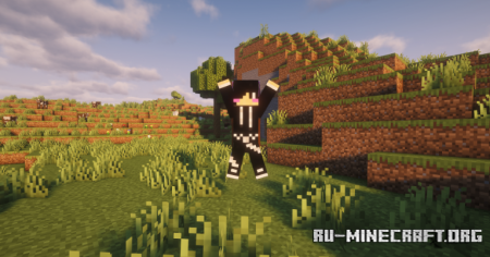 ������� NoEmotecraft ��� Minecraft 1.21.11