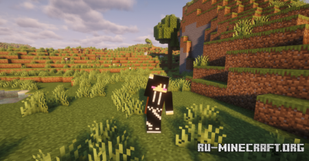 ������� NoEmotecraft ��� Minecraft 1.21.11