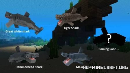 ������� ����� ������ ������� ��� Minecraft PE 1.21