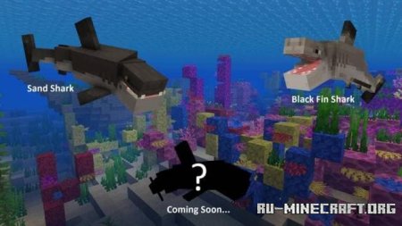 ������� ����� ������ ������� ��� Minecraft PE 1.21