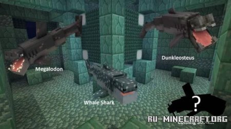 ������� ����� ������ ������� ��� Minecraft PE 1.21