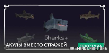 ������� ����� ������ ������� ��� Minecraft PE 1.21