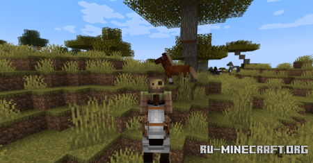 ������� Fresh Animations: Classic Horses ��� Minecraft 1.21.11