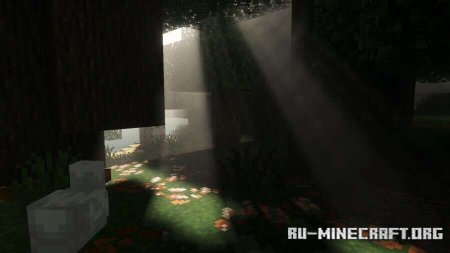 ������� ��������� ����� ��� Minecraft PE 1.21