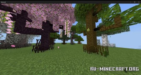 ������� ��������� ����������� ��� Minecraft PE 1.20