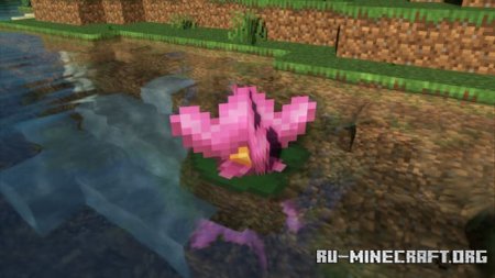 ������� ���������� �������� ��� Minecraft PE 1.21