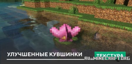 ������� ���������� �������� ��� Minecraft PE 1.21