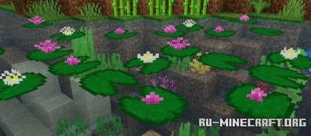 ������� ���������� �������� ��� Minecraft PE 1.21
