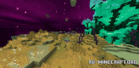 ������� ��������� ����������� ��� Minecraft PE 1.21