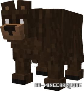 ������� �������� �� ����� ��� Minecraft PE 1.21