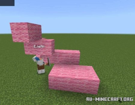 ������� ����� ��� � ��-�������� ��� Minecraft PE 1.21