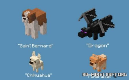 ������� ������ ����� ��� Minecraft PE 1.21