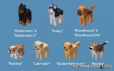 ������� ������ ����� ��� Minecraft PE 1.21