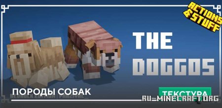 ������� ������ ����� ��� Minecraft PE 1.21