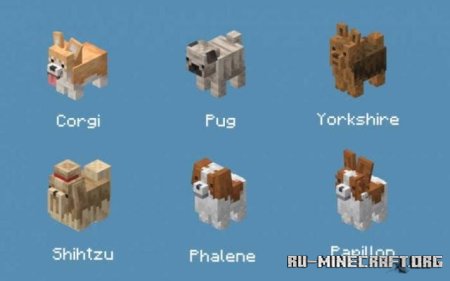 ������� ������ ����� ��� Minecraft PE 1.21