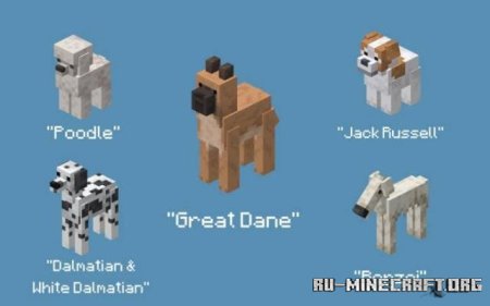 ������� ������ ����� ��� Minecraft PE 1.21