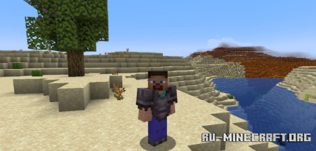 ������� Enjarai�s Show Me Your Skin ��� Minecraft 1.21.11