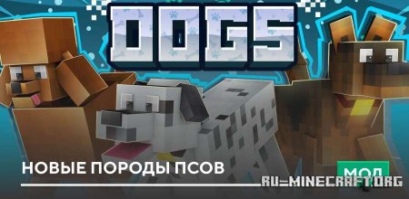 ������� ����� ������ ���� ��� Minecraft PE 1.21