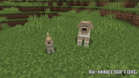 ������� ����� ������ ���� ��� Minecraft PE 1.21