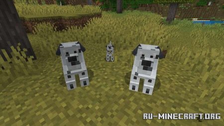 ������� ����� ������ ���� ��� Minecraft PE 1.21