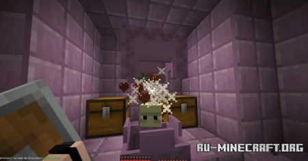 ������� Grindy Elytras ��� Minecraft 1.21.5