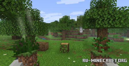������� Fresh Flowers And Plants ��� Minecraft 1.21
