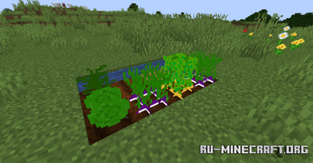 ������� Experienced Food ��� Minecraft 1.20.1