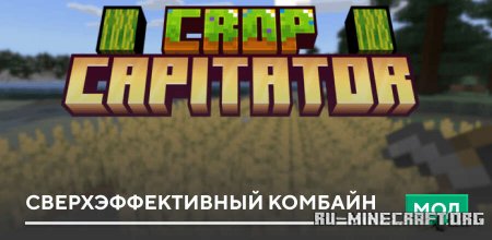 ������� C��������������� ������� ��� Minecraft PE 1.21