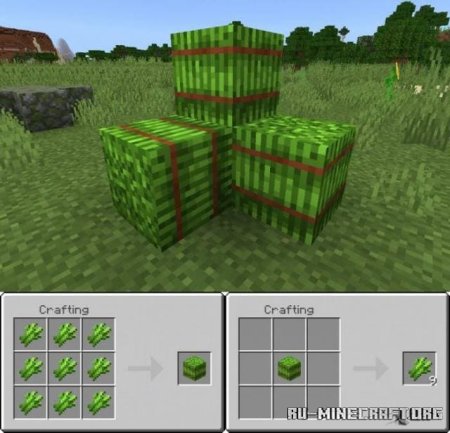 ������� ����������� ����� ��� Minecraft PE 1.21