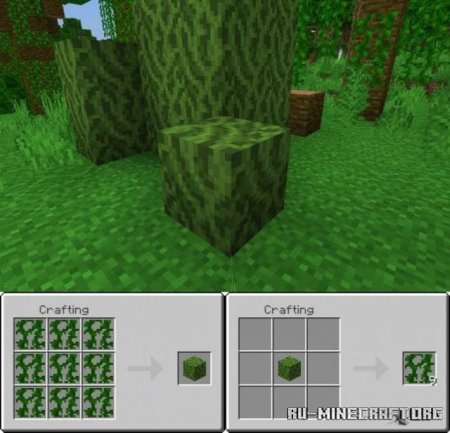 ������� ����������� ����� ��� Minecraft PE 1.21