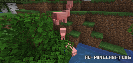 ������� GcGo Mod ��� Minecraft 1.20.6