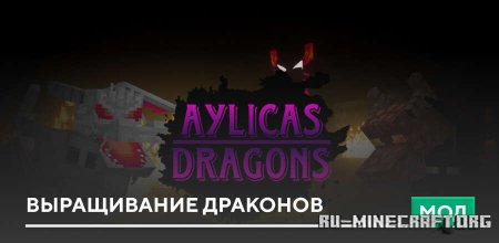 ������� ����������� �������� ��� Minecraft PE 1.21