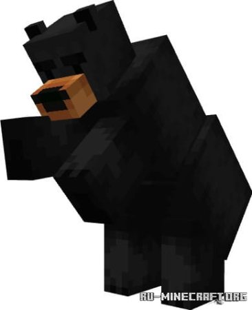 ������� ���� � �������� ��� ��������� ��� Minecraft PE 1.21