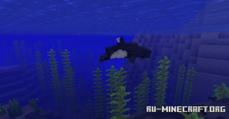 ������� Wonderous Sea ��� Minecraft 1.20.1