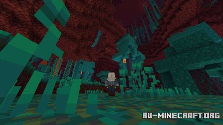 ������� ���-���������� ��� Minecraft PE 1.21