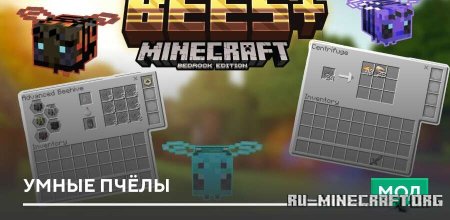 ������� ����� ����� ��� Minecraft PE 1.21