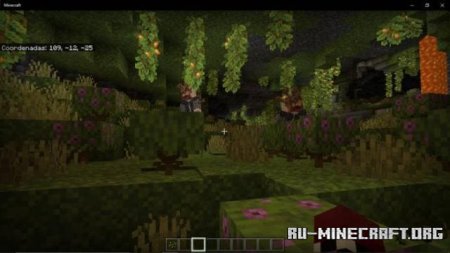 ������� ���������� ��� Minecraft PE 1.21