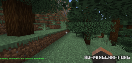 ������� Loading Protection ��� Minecraft 1.21.1